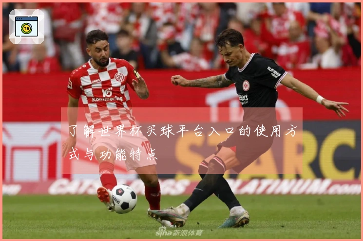 了解世界杯买球平台入口的使用方式与功能特点