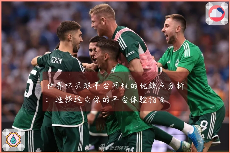 世界杯买球平台网址的优缺点分析：选择适合你的平台体验指南