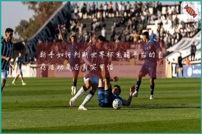 新手如何判断世界杯竞猜平台的首存活动是否真实可信