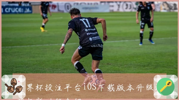 世界杯投注平台iOS下载版本升级说明与新功能介绍