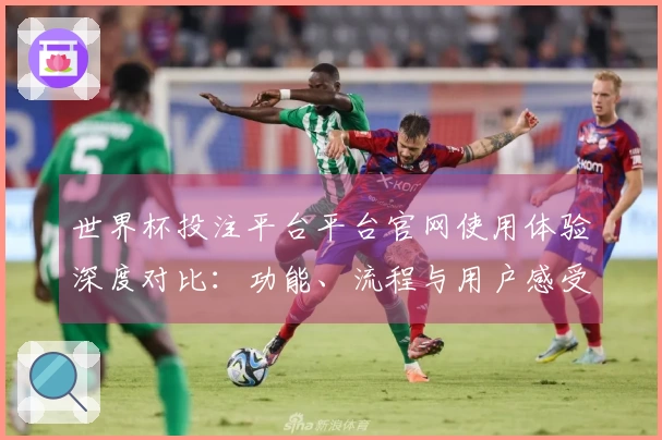 世界杯投注平台平台官网使用体验深度对比：功能、流程与用户感受全解析