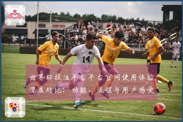 世界杯投注平台平台官网使用体验深度对比：功能、流程与用户感受全解析