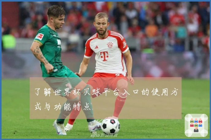了解世界杯买球平台入口的使用方式与功能特点